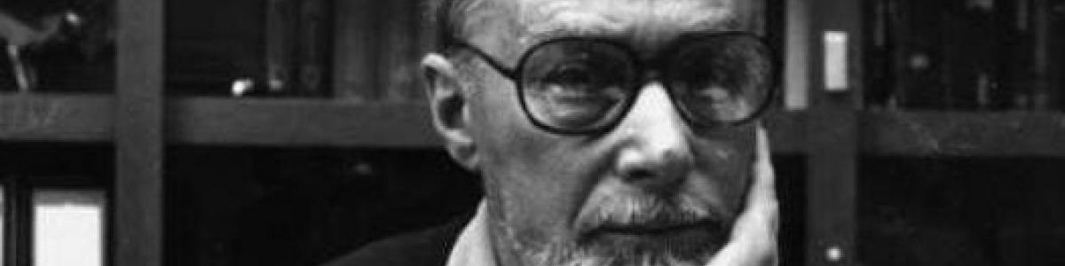 Thoughts on the Writings of Primo Levi 
